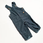 Calvin Overalls 24M|226561