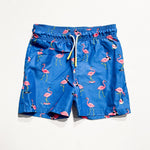 Cat & Jack Swim Suit 2Y|220304