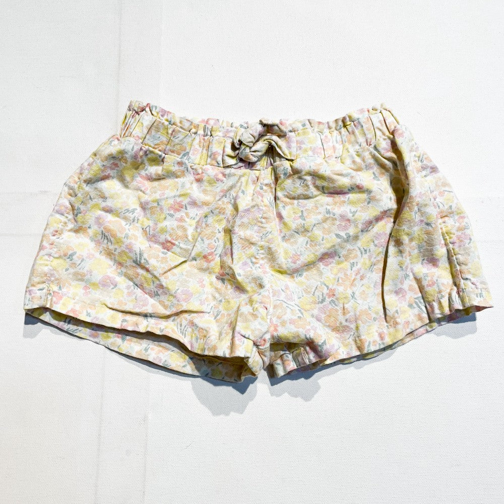 Carters Shorts 24M|177506