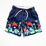 Gymboree Swim Suit 3-6M|153725