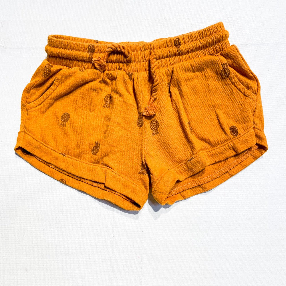 Carters Shorts 18M|167559
