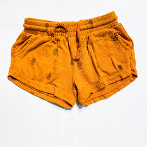 Carters Shorts 18M|167559