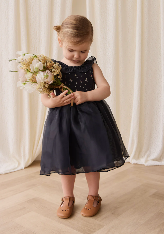 Jamie Kay - Adalyn Dress Dina Ebony|176919