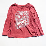 Old Navy Shirts 2Y|173937