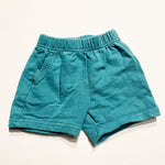 Carters Shorts 9M|198170