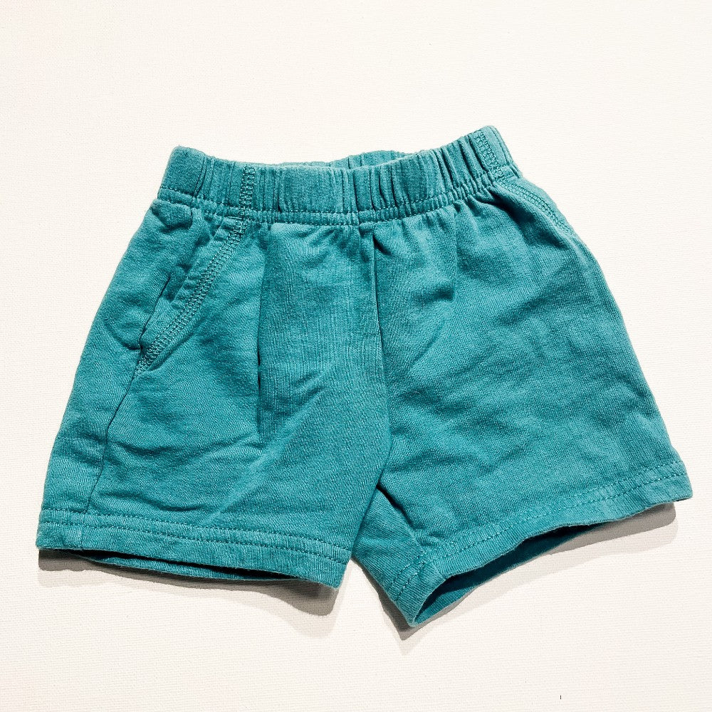 Carters Shorts 9M|198170