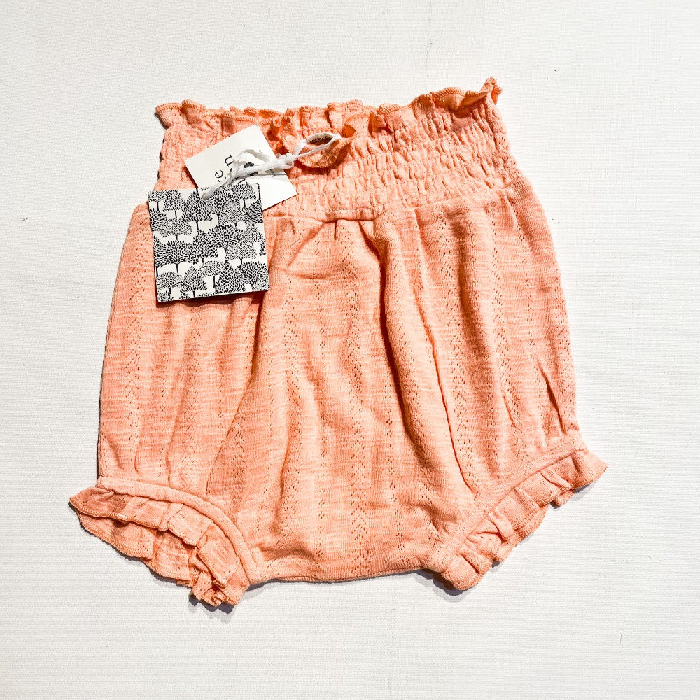 Kate Quinn Shorts 2Y|115726