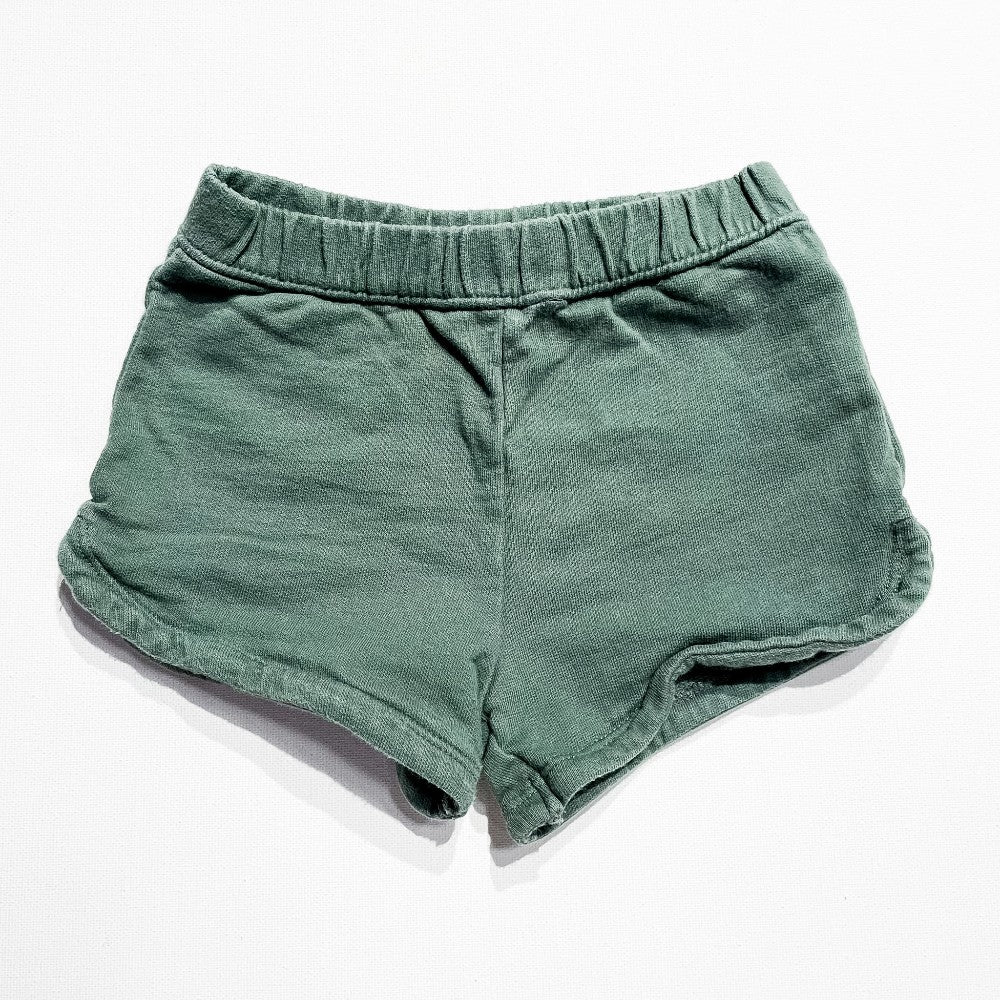 Carters Shorts 2T|215469