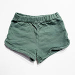Carters Shorts 2T|215469
