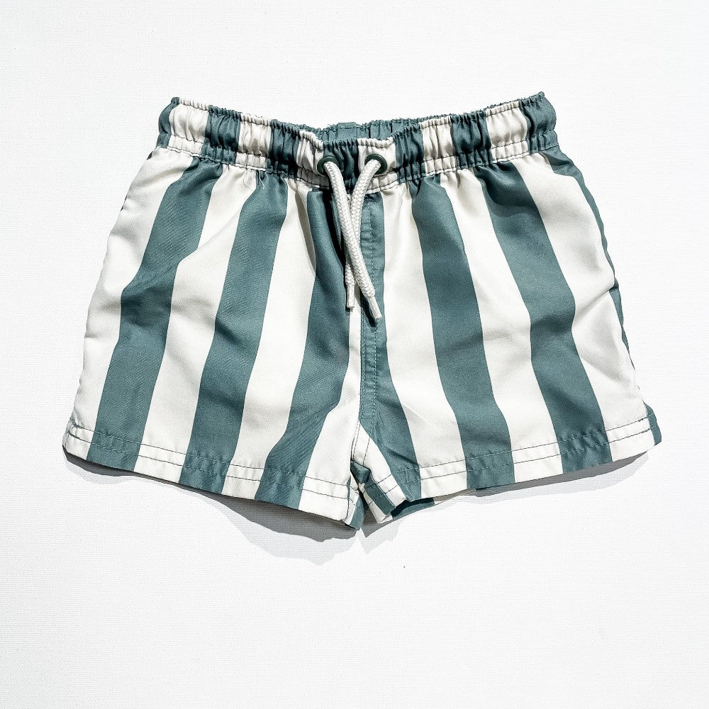 Carters SHorts 2Y|212470