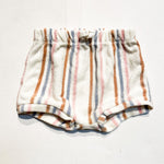 Carters Shorts 12M|163425
