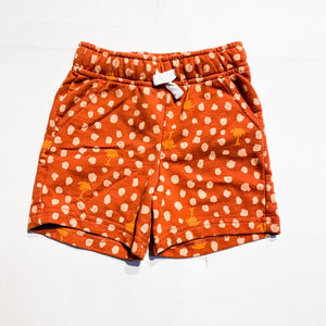Cat & Jack Shorts 18M|174748